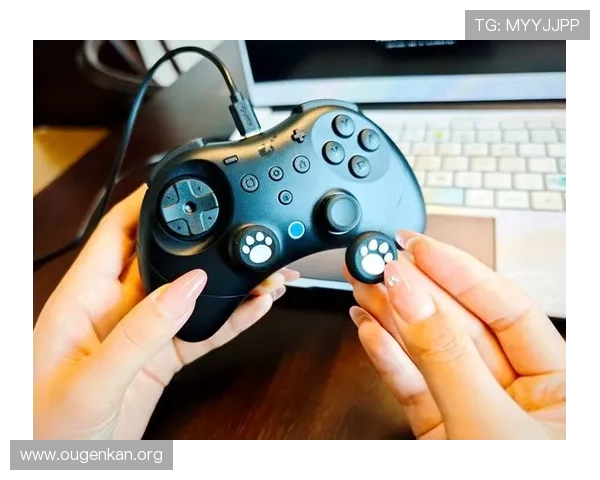 欧博入口官方平台详细介绍确保玩家安全顺畅访问游戏账号