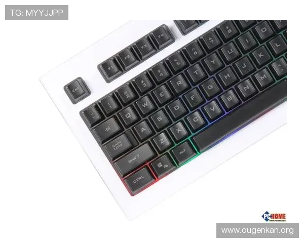 欧博游戏官方旗舰店官网支持多平台游戏下载与安装指南，方便玩家快速畅玩心仪游戏