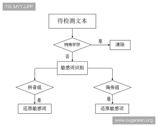 欧博网站维护的全面流程与关键步骤详解