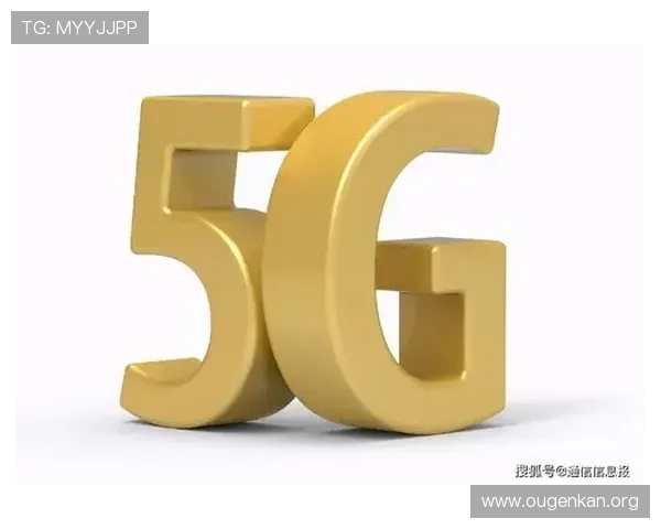 荷兰欧博：未来发展战略与应对行业挑战的全面分析