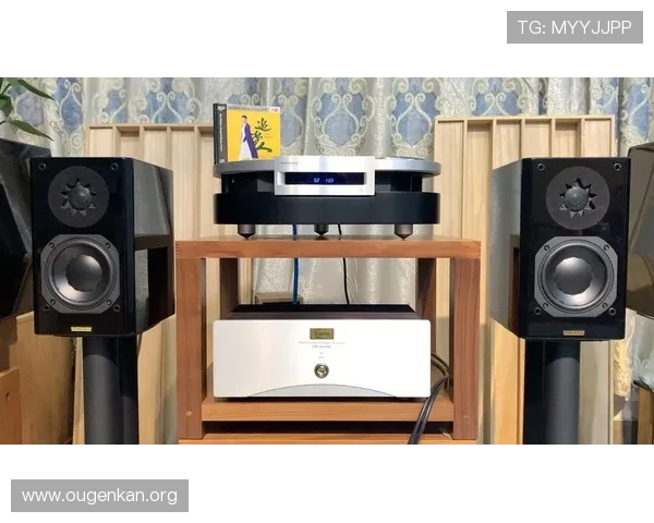 欧博222胆前级与其他品牌的对比分析，找到最适合你的音频设备